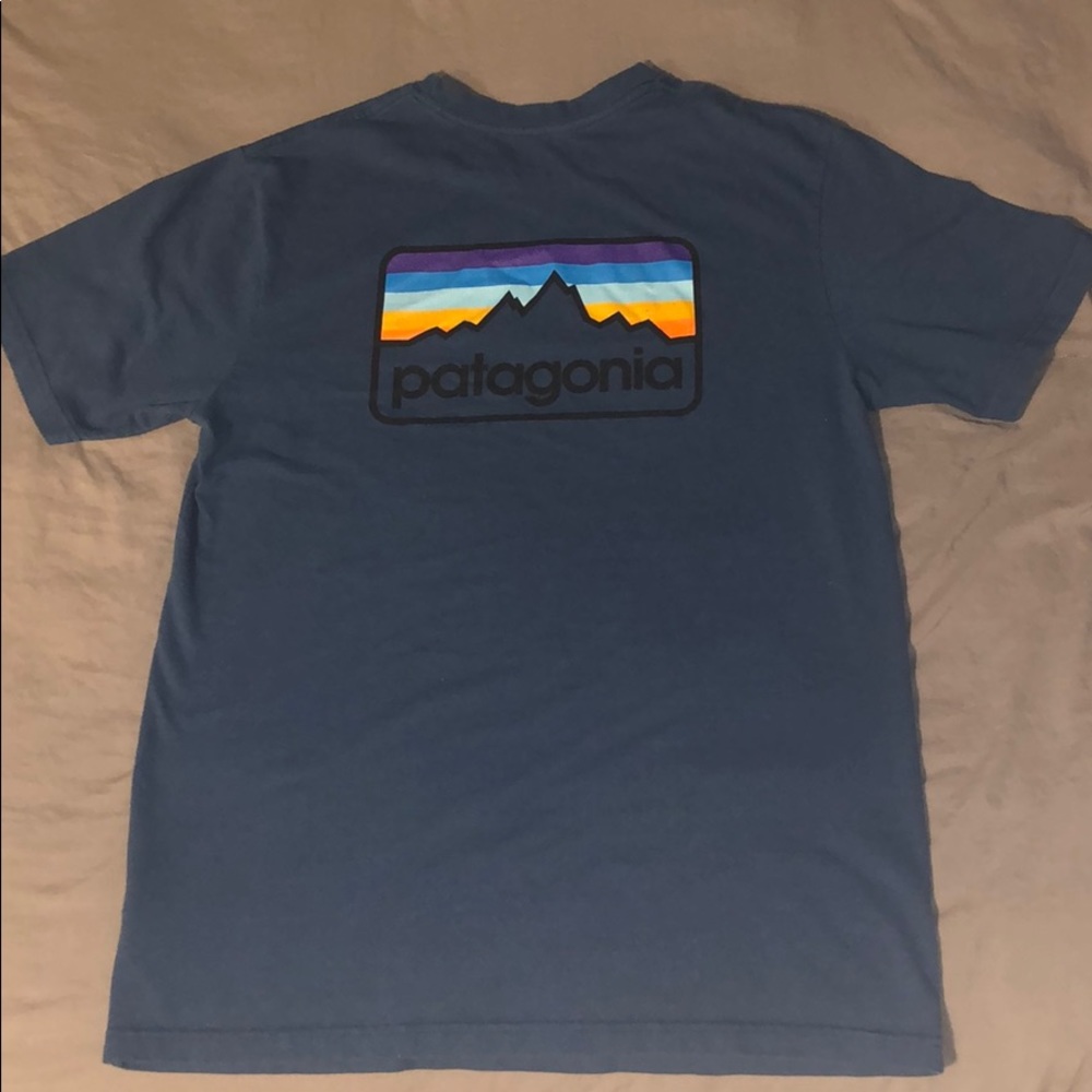 Patagonia tee